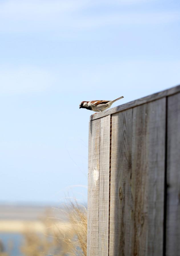 Dormir Sur La Plage Marennes  Exterior foto